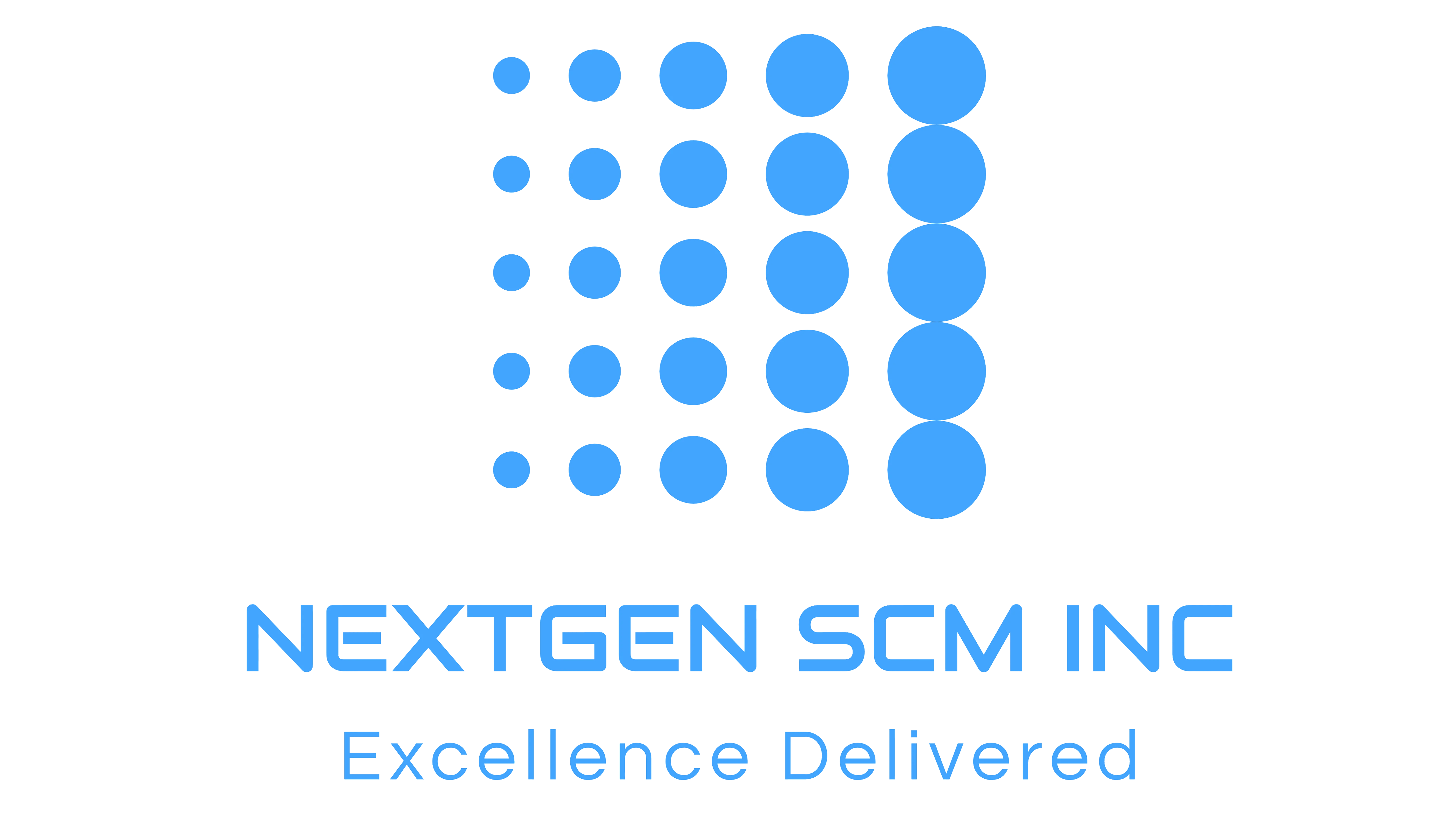 NEXTGEN SCM INC